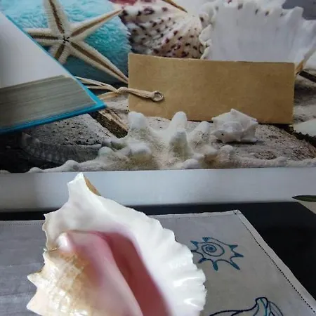 Janas Con Piscina Privata Budoni בית נופש